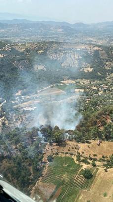 İzmir'de orman yangını, 1 saatte kontrol altına alındı
