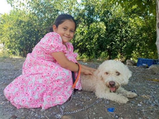 7 yaşındaki Hifa'nın çalınan köpeği 'Çıtır', bulundu