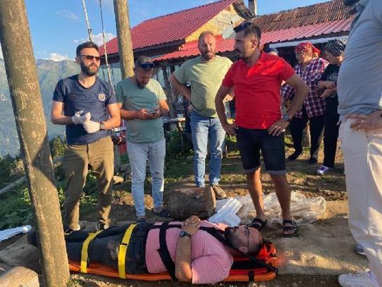 Salıncakla ineğe çarpan turizmci yaralandı