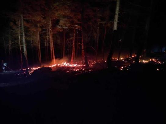 Bolu'da çıkan orman yangını söndürüldü
