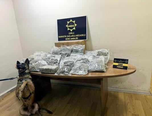 Manavda, sebze ve meyve kasalarının altına gizlenen 15 kilo esrarı 'Larissa' buldu
