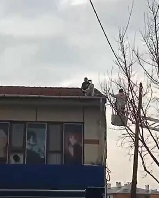Ekipler seferber oldu; 4 katlı binanın çatısına çıkan köpek, sahibi gelince indi