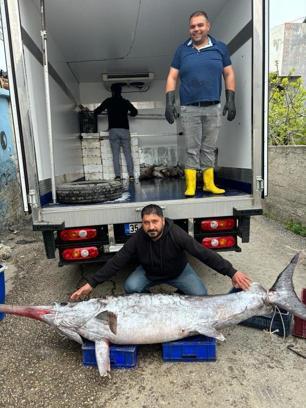 Avladığı 3 metre boyundaki 150 kiloluk kılıç balığını 30 bin TL'ye sattı