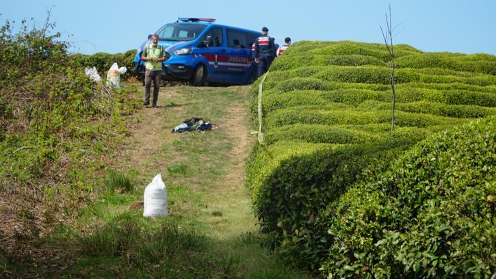 Rize'de, çay bahçesinde baş kısmı kopmuş erkek cesedi bulundu