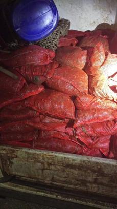 Yalova’da denizden kaçak toplanan 1 ton 150 kilo midye ele geçirildi
