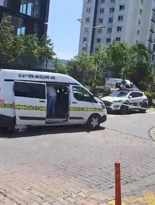 İstanbul -  Başakşehir'de emekli polis memuru, polis köpeğini vurup camdan aşağıya attı