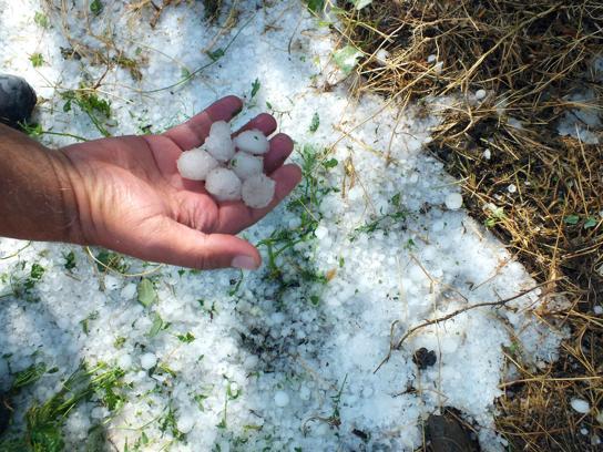 Yozgat'ta sağanak ve dolu ekili alanları vurdu
