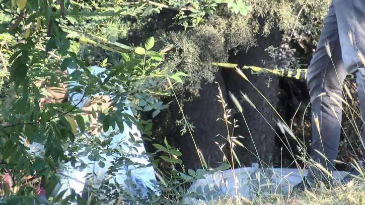 İstanbul-Gaziosmanpaşa TEM Otoyolu kenarındaki ağaçlık alanda ceset bulundu