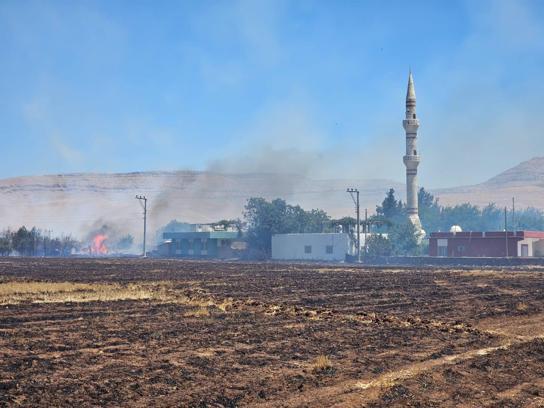 Mardin’in 5 ilçesinde anız ve örtü yangınları