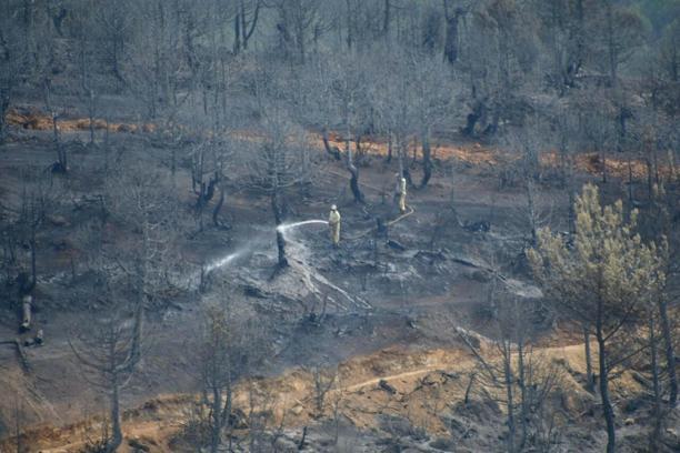 Balıkesir'deki orman yangını; takviye ekipler sevk edildi (3)