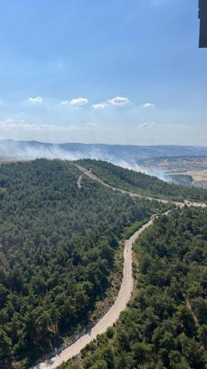 Balıkesir'de 2 ilçede orman yangını