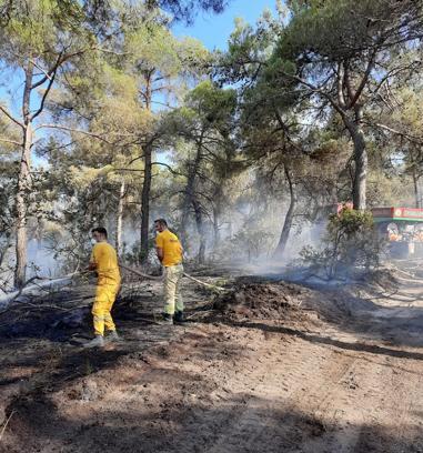 Balıkesir'de 2 ilçede orman yangını (3)