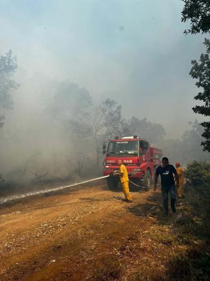 Balıkesir'de orman yangını; bu kez Kepsut'ta çıktı (2)