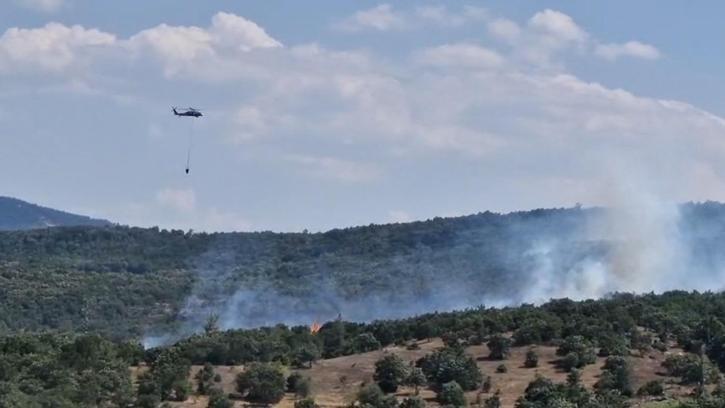 Bursa'da orman yangını (2)