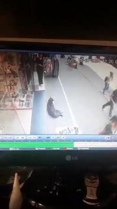 İSTANBUL İş yerinden dışarı çıkan çalışana kapı önünde uzanan sokak köpeği saldırdı