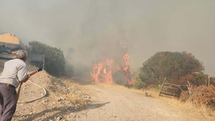 Çanakkale'deki yangında 2 hektar orman, 8 hektar tarım arazisi zarar gördü