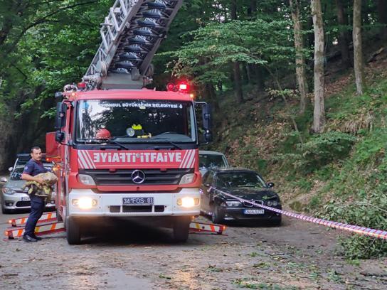 İstanbul-Sarıyer'de park halindeki 2 otomobilin üzerine ağaç devrildi