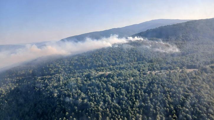 Karabük'te orman yangını (2)