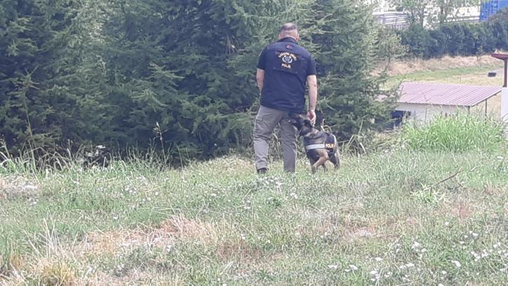 Kayıp kadını arama çalışmalarında kadavra köpeği Zeyna koku aldı; ceset bulundu