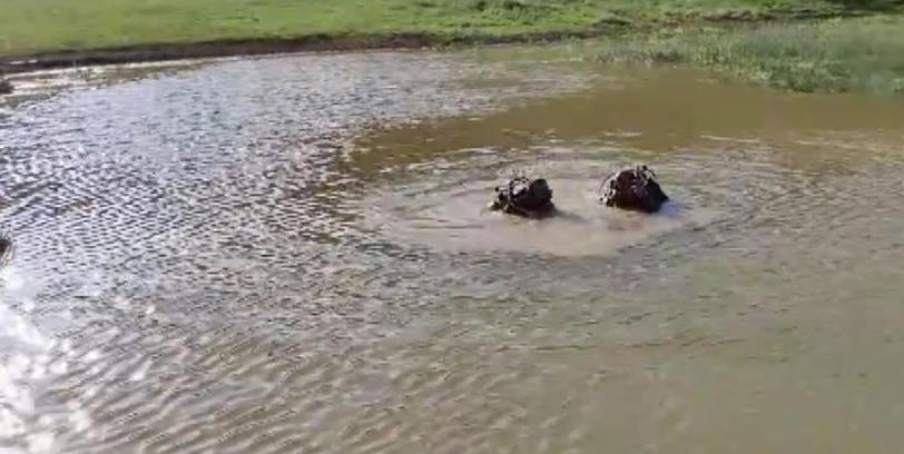 ERZURUM'da gölete giren 3 çocuktan biri boğuldu (VİDEO EKLENDİ)