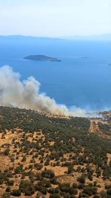 İzmir'de orman yangını/ Ek Fotoğraflar