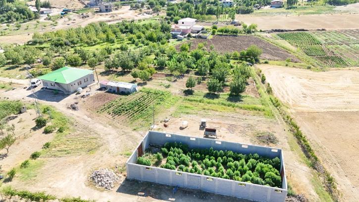 Diyarbakır’da 177 bin 495 kenevir bitkisi ile 65 kilo esrar ele geçirildi