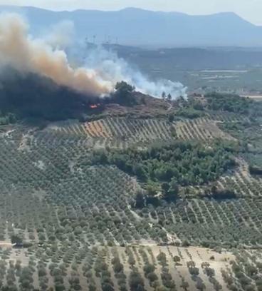 Manisa'da orman yangını