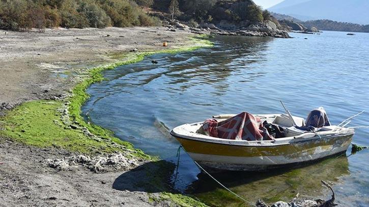 Bafa Gölü'nde kirlilik ve suda çekilme; TBMM heyetinden inceleme