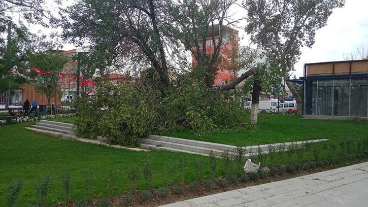 Kuzey Ege için ‘fırtına’ uyarısı