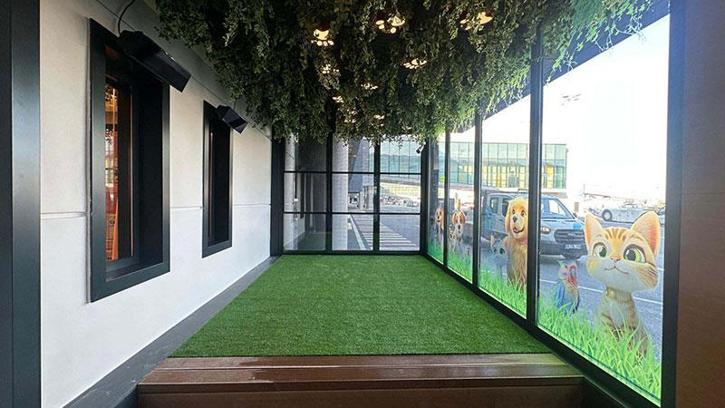 THY, İstanbul Havalimanı’nda "Pet Lounge" hizmete açtı