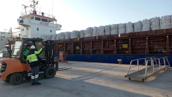 Tunus'tan iade edilen 2 bin 500 ton patates, Mersin'de imha edilecek