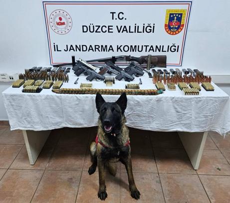 Arı kovanlarından kaçak silah çıktı: 2 gözaltı