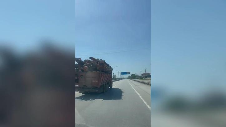 Yoldaki tomruk yüklü kamyon, sürücüleri tedirgin etti