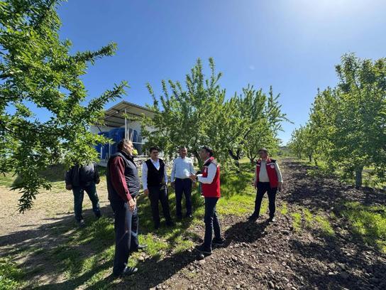 Kula Kaymakamı Özdemir'den zirai don zararına uğrayan çiftçilere ziyaret
