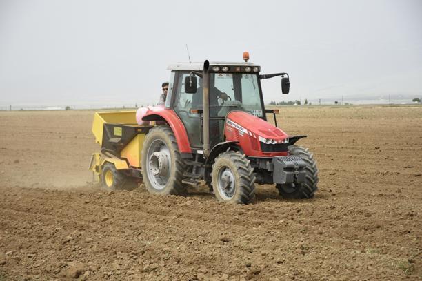 Turfanda patates deposu Niğde'de ekim alanları azaldı