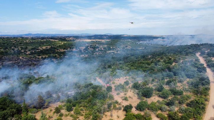 Edirne'de orman yangını