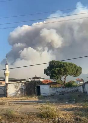 Manisa'da çöplük yangını ormana sıçradı