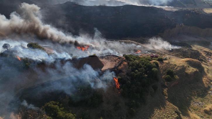 Manisa'da çöplük yangını ormana sıçradı (2)