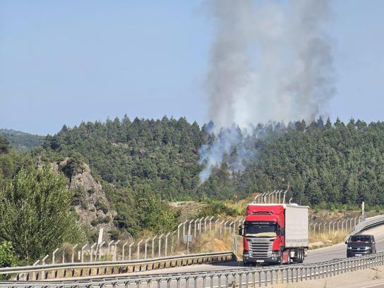 Tokat’ta orman yangını