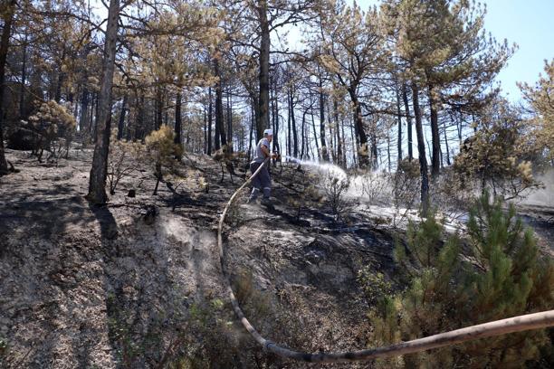 Eskişehir'de çıkıp, Afyonkarahisar'a sıçrayan yangın kontrol altında