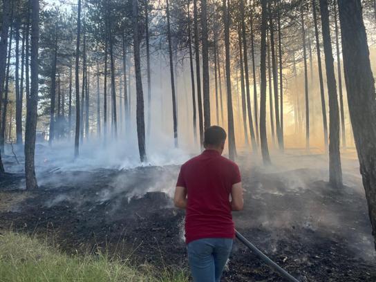 Kastamonu'da çıkan orman yangını kısa sürede söndürüldü