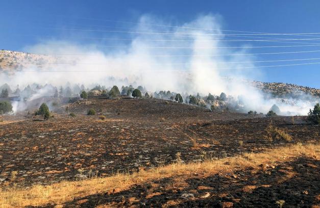 Adana’da merada çıkan yangın, ormana sıçramadan söndürüldü