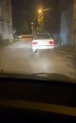 Yaban domuzunu otomobilin arkasına bağlayıp sürükledi