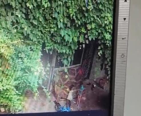 Salıncağın ipini boynuna dolayıp sallanmak isterken asılı kalan Eymen Asaf, öldü