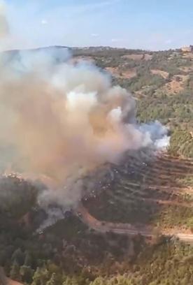 Balıkesir'de orman yangını