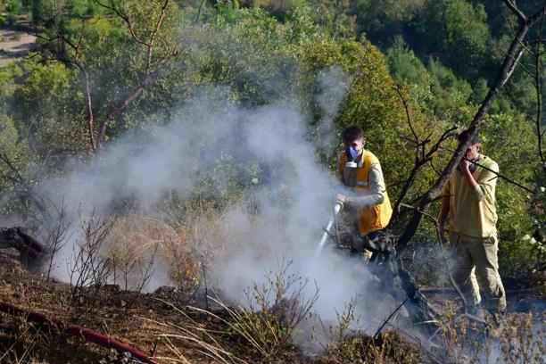 Balıkesir'de orman yangını (3)