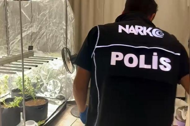 Yatak odasına kurduğu serada kenevir yetiştiren şüpheli: Evi tanımadığım biri kullanıyor