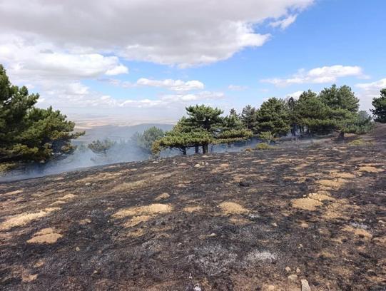 Konya'da orman yangını kontrol altında