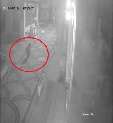 Kastamonu'da aç kalan ayı ilçe merkezine indi; o anlar kamerada