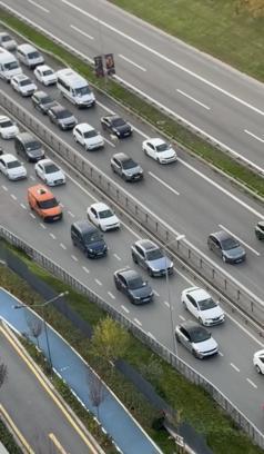 İstanbul - Ümraniye'de otoyol üzerinde ilerleyen koyun, sürücülere zor anlar yaşattı